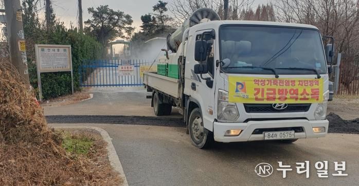 안성시 산란계농장 고병원성AI 의심축 발생