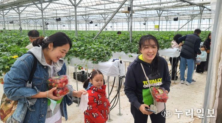 담양 물구십리 마을