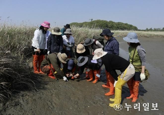 화성시생태관광사회적협동조합_활동사진