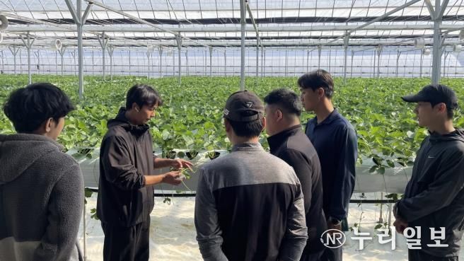 2026년 포천시 청년농부 학습동아리 교육생 모집