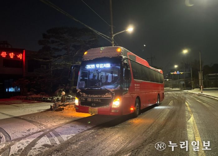 202번 버스를 대체 운행 중인 전세버스
