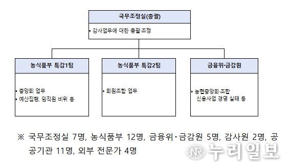 정부합동 특별감사반 구성 및 인원