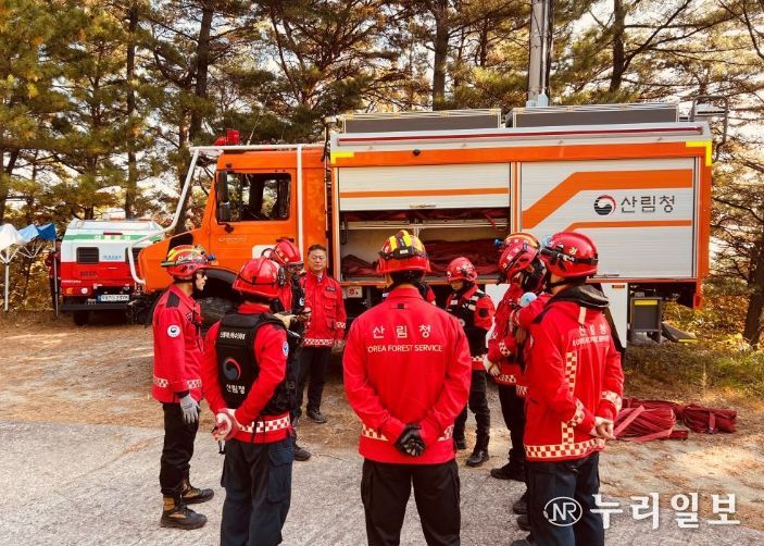 산불 예방 총력 대응