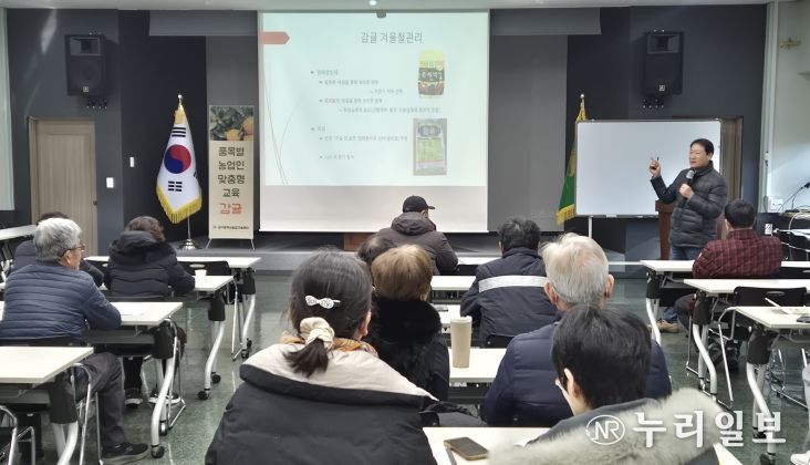감귤 겨울철 관리 교육