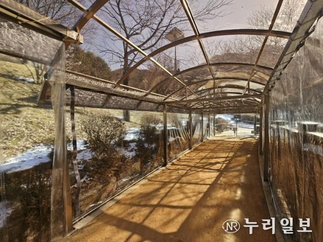 병목안시민공원 맨발산책길에 설치한 지붕 캐노피와 방한 비닐막 사진