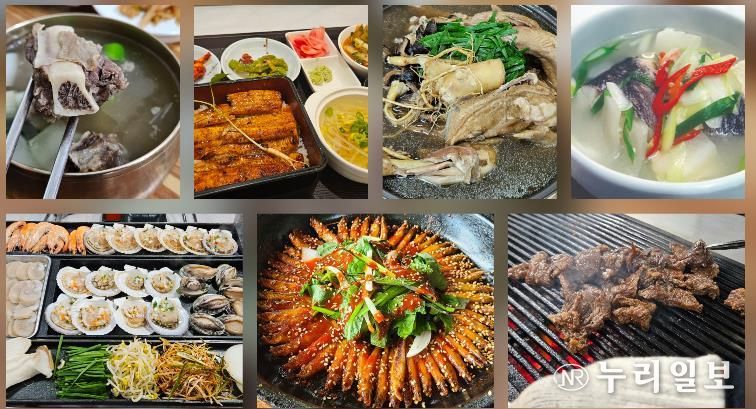 시계방향으로 홍성 갈비탕, 부여 장어덮밥, 금산 삼계탕, 서산·태안 우럭젓국, 예산 한우구이, 금산 도리뱅뱅이, 보령 키조개삼합