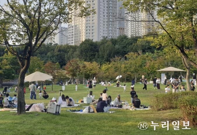 수원 광교호수공원 내 시민들이 피크닉을 즐기고 있다.