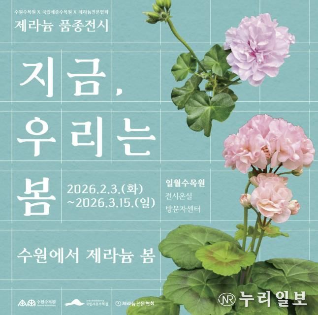 수원수목원 제라늄 기획전 홍보물.