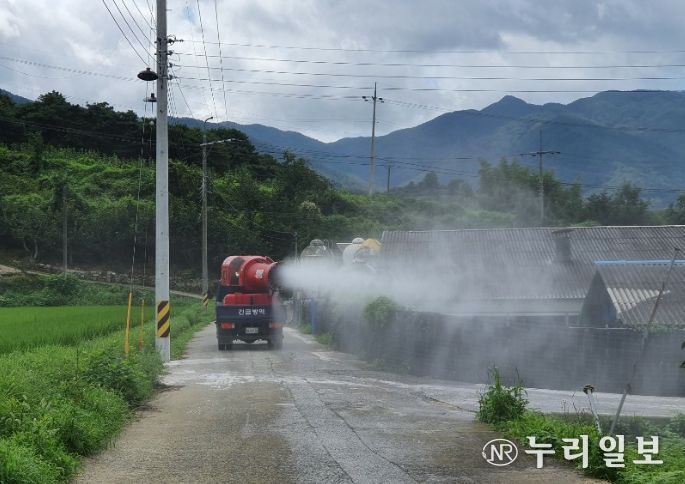 설 명절 가축전염병 집중 소독