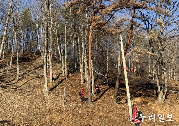 청양산불 진화모습