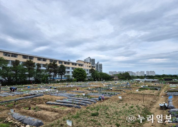 구리시, 「2026년 토평동 구리도시텃밭」운영