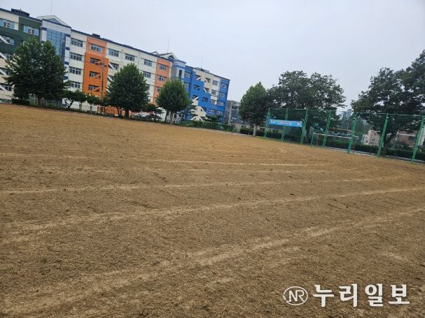 학교 운동장 관리작업 진행 완료