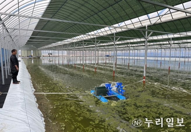 어업인 생산기반(양식장) 조성 현황