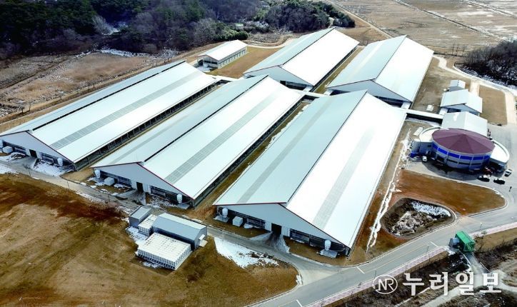 2025년 준공된 제1호 스마트축산단지(충남 당진 낙농단지)