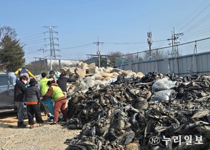 장안면 주민들이 수거된 폐비닐을 분류하며 집중수거 작업을 진행하고 있다