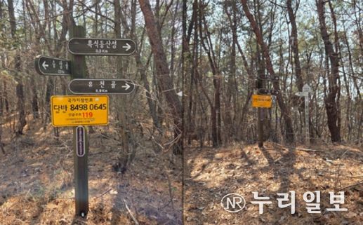 국가지점번호판