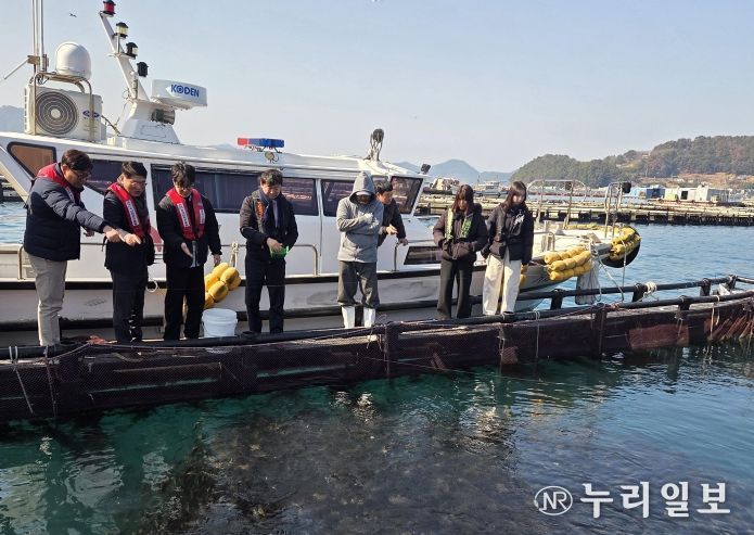 월동 현장 점검