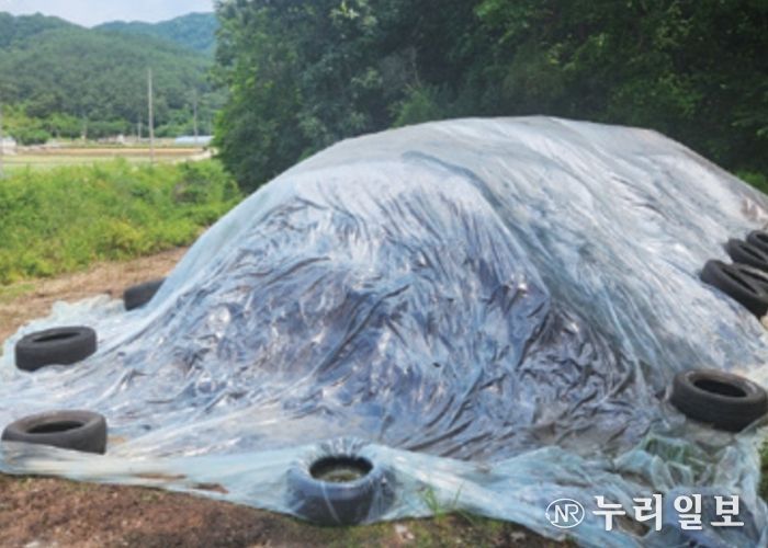 퇴비 적정 보관 예시