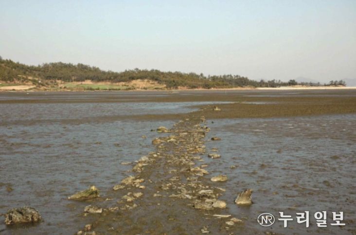 신안군 팔금도 거사리의 노둣길