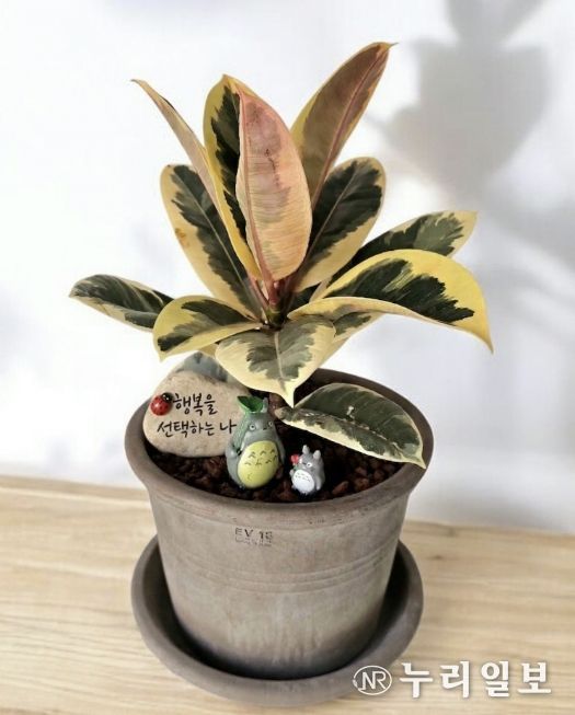 현재 성찰그룹의 완성품