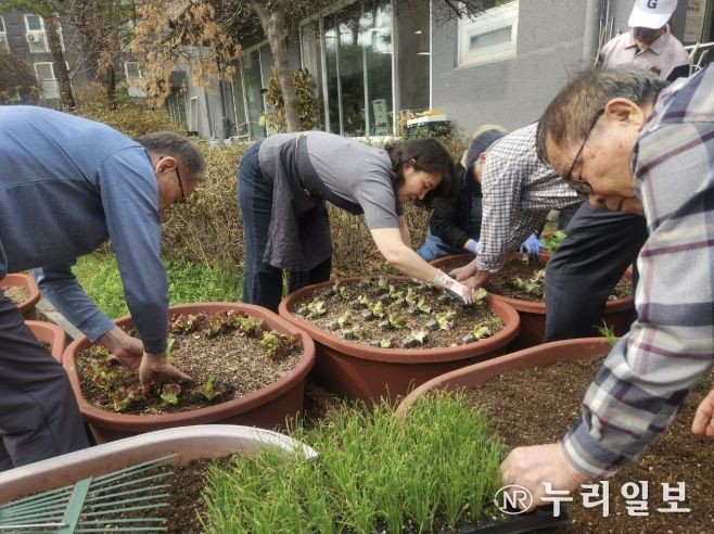 수원시 영통구 광교2동, 폐비닐 화분에 새 생명 불어넣다… 경로당 찾아가는 원예테라피 운영