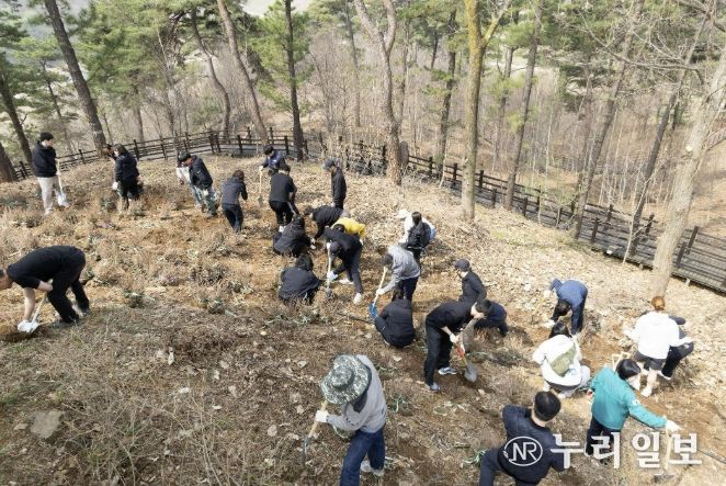 연천군, 제81회 식목일 기념 산철쭉 식재